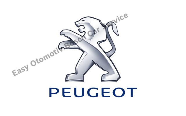 Ataşehir´ de Profesyonel Peugeot Araç Bakımı